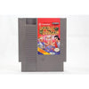 Double Dragon Nintendo Entertainment NES Game from 2pgaming